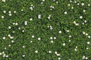 Tokyo Special | Bloemenweide van Rodelopers