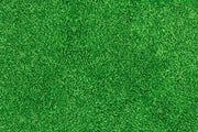 Tokyo Special | Gras van Rodelopers