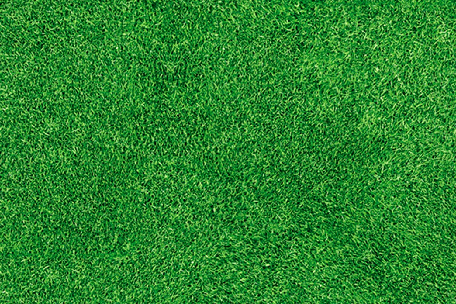 Tokyo Special | Loper met patroon | Gras | 200cm | GJ Floors