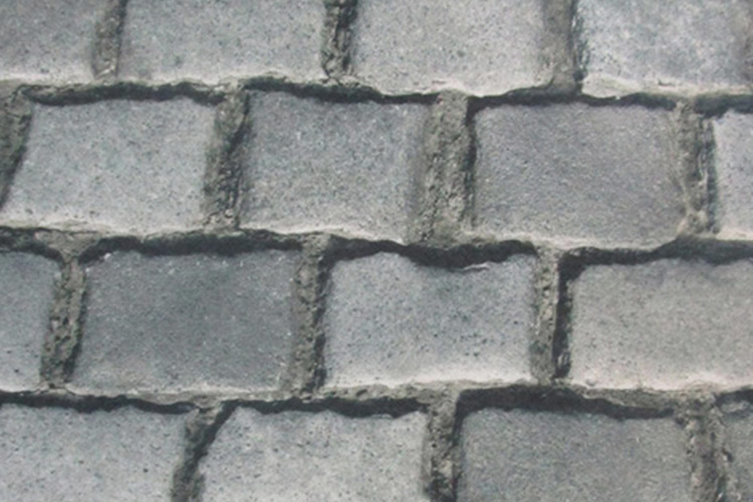 Tokyo Special | Kassei Lopers Rodelopers 