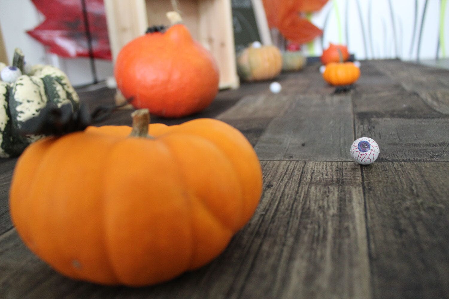 Tokyo Special | Vintage Lopers Rodelopers 